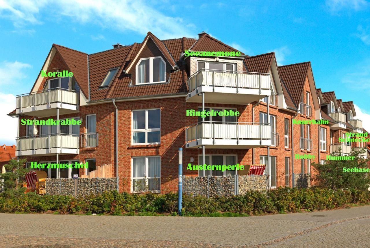 Haus Suedwester Koralle 因塞尔波埃尔 外观 照片